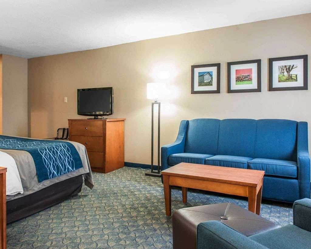 Comfort Inn & Suites Napoleon Phòng bức ảnh