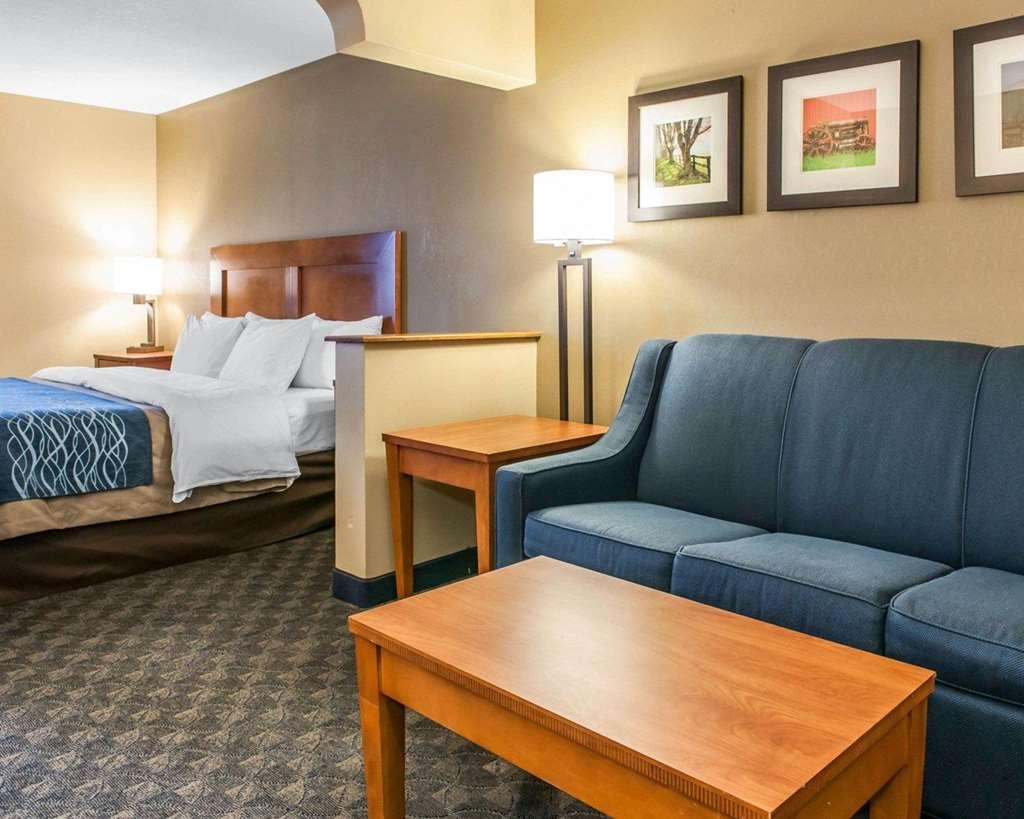 Comfort Inn & Suites Napoleon Phòng bức ảnh